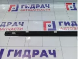 Молдинг стекла двери передней правой SsangYong Actyon Sports 7252009000