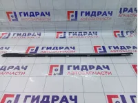 Молдинг стекла двери задней правой SsangYong Actyon Sports 7352032000