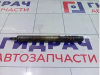 Форсунка дизельная электрическая SsangYong Actyon Sports 6640170021