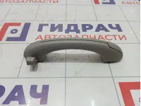 Ручка потолочная SsangYong Actyon Sports 7762009000