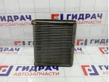 Испаритель кондиционера SsangYong Actyon Sports 6813009100