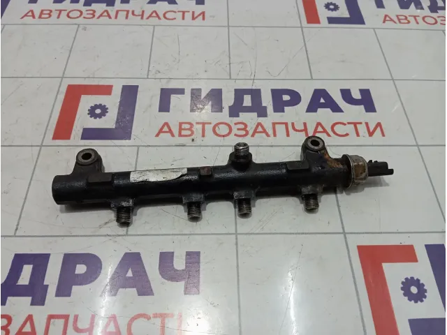 Топливная рампа (топливная рейка) SsangYong Actyon Sports 6640700195