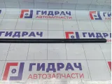Молдинг двери передней левой SsangYong Actyon Sports 7951609000