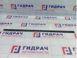 Молдинг двери задней левой SsangYong Actyon Sports 7955032000