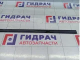 Молдинг двери задней левой SsangYong Actyon Sports 7955032000