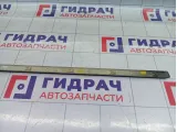 Молдинг двери задней левой SsangYong Actyon Sports 7955032000