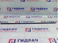 Молдинг двери передней правой SsangYong Actyon Sports 7952609000
