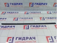 Молдинг двери задней правой SsangYong Actyon Sports 7956032000