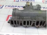 Коллектор впускной SsangYong Actyon Sports 6641401501