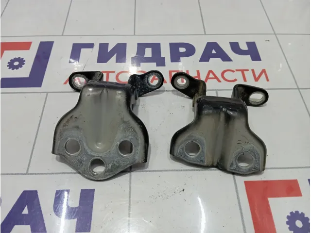 Петли двери задней правой SsangYong Actyon Sports