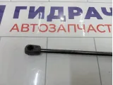 Амортизатор крышки (двери) багажника SsangYong Actyon Sports 7145009000