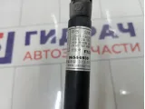 Амортизатор крышки (двери) багажника SsangYong Actyon Sports 7145009000