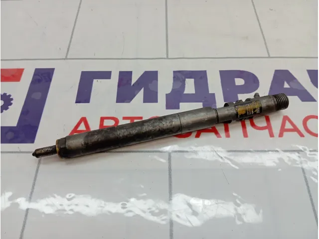 Форсунка дизельная SsangYong Kyron 6640170221