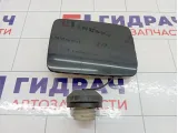 Лючок бензобака SsangYong Kyron 7161009001