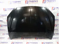 Капот SsangYong Kyron