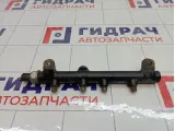Топливная рампа (топливная рейка) SsangYong Kyron 6640700195