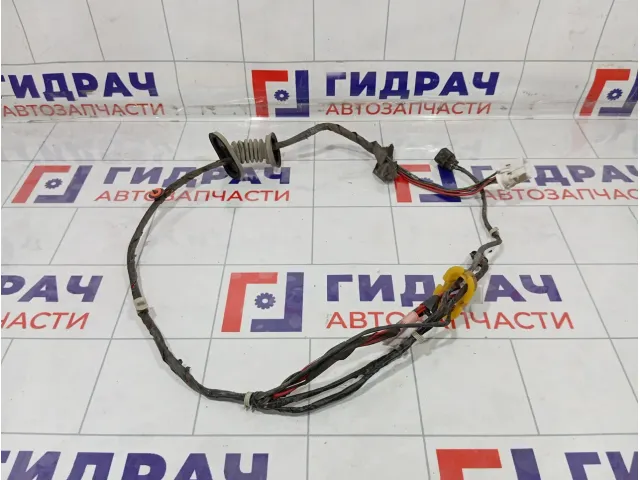 Проводка двери задней SsangYong Kyron 8272009012