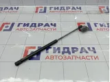 Амортизатор капота левый SsangYong Kyron 7115009000