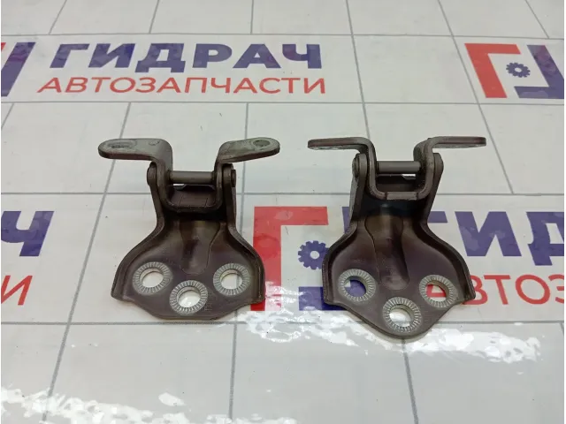 Петли двери передней левой SsangYong Kyron