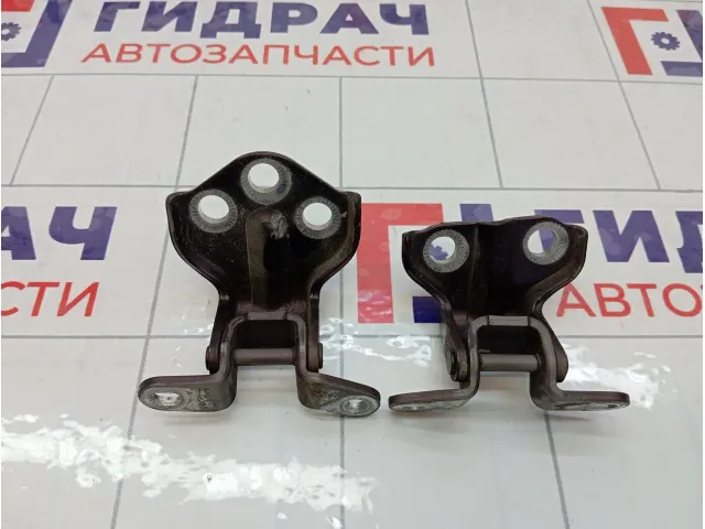 Петли двери задней правой SsangYong Kyron