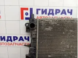 Радиатор основной SsangYong Kyron 2131009251