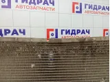 Радиатор основной SsangYong Kyron 2131009251