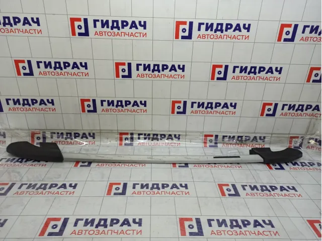 Рейлинг левый SsangYong Kyron 7985009000