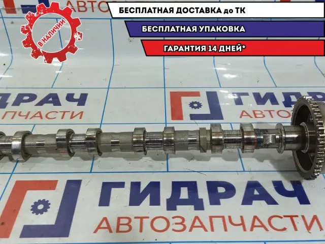 Распредвал выпускной Ssang Yong Actyon New 1720500301. Дефект.