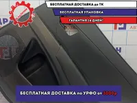 Обшивка двери задней правой Ssang Yong Actyon New 732A234000LBA. Царапины.