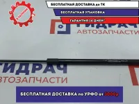 Амортизатор двери багажника левый Ssang Yong Actyon New 7145034002.