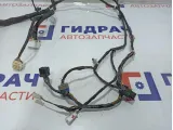 Проводка двери передней левой Ssang Yong Actyon New 8270034051.