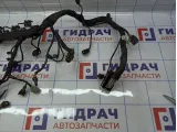 Проводка моторная Ssang Yong Actyon New 6711500233.
