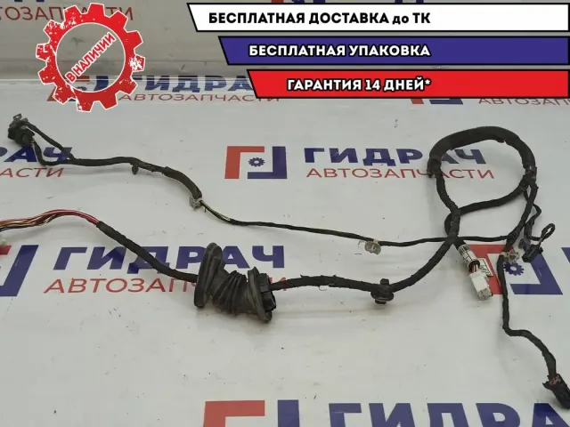 Проводка двери задней левой Ssang Yong Actyon New 8270434010.