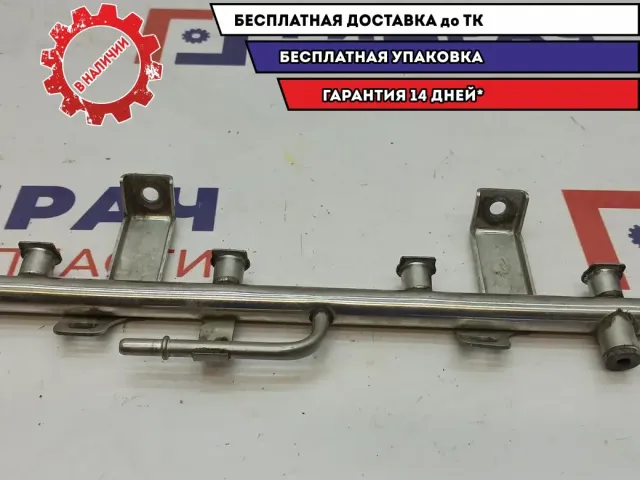 Рейка топливная Ssang Yong Actyon New 1720700195.