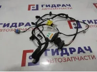 Проводка двери задней правой Ssang Yong Actyon New 8270534011.