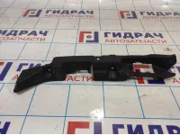 Пыльник (кузов внутри) Ssang Yong Actyon New 7847034002.