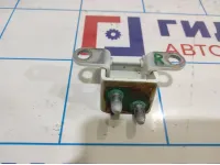 Петля двери багажника Ssang Yong Actyon New 6481009000.