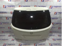 Дверь багажника Ssang Yong Actyon New .