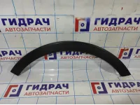 Накладка заднего крыла правого Ssang Yong Actyon New 7954034000.