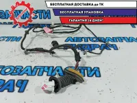 Проводка двери задней правой Ssang Yong Kyron 8272009012.