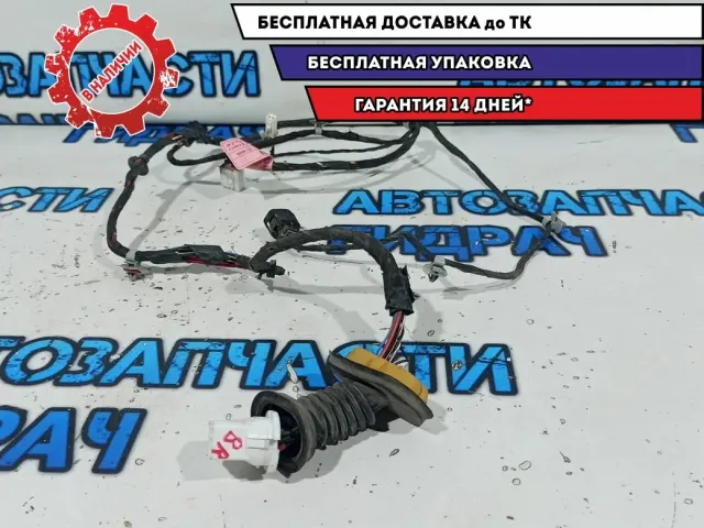 Проводка двери задней правой Ssang Yong Kyron 8272009012.