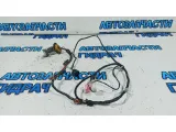 Проводка двери задней правой Ssang Yong Kyron 8272009012.