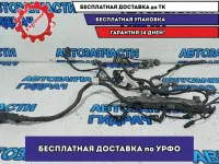 Проводка двигателя Ssang Yong Kyron 6641501233. Дефект.