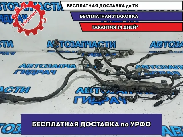 Проводка двигателя Ssang Yong Kyron 6641501233. Дефект.