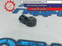 Датчик детонации Ssang Yong Kyron 1611533328.