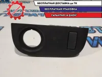 Накладка Renault Sandero Stepway 2.