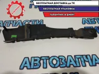 Накладка Renault Sandero Stepway 2 769470384R.