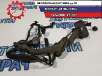 Проводка  Renault Sandero Stepway 2 241246999R.