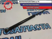 Амортизатор двери багажника Renault Sandero Stepway 2 904529943R.