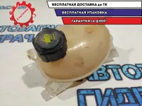 Бачок расширительный Renault Sandero Stepway 2 217104354R.